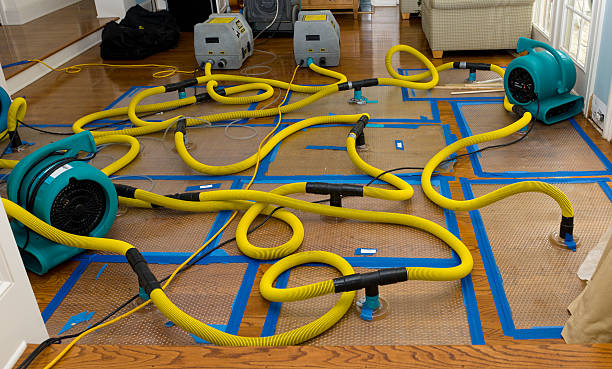 Professional Crawl Space Water Removal technician working in Garden City, NY